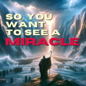 So, You Want to See a Miracle David Eaton